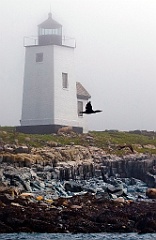 Nash Island Lighthouse in the Fog